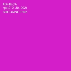 #D41ECA - Shocking Pink Color Image